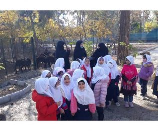 پژوهش علمی ، تفکر و حل مسئله دانش آموزان در باغ مدرسه