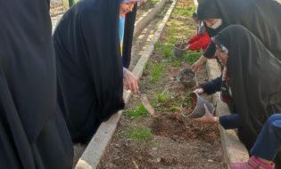 روز درخت کاری