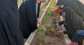 روز درخت کاری